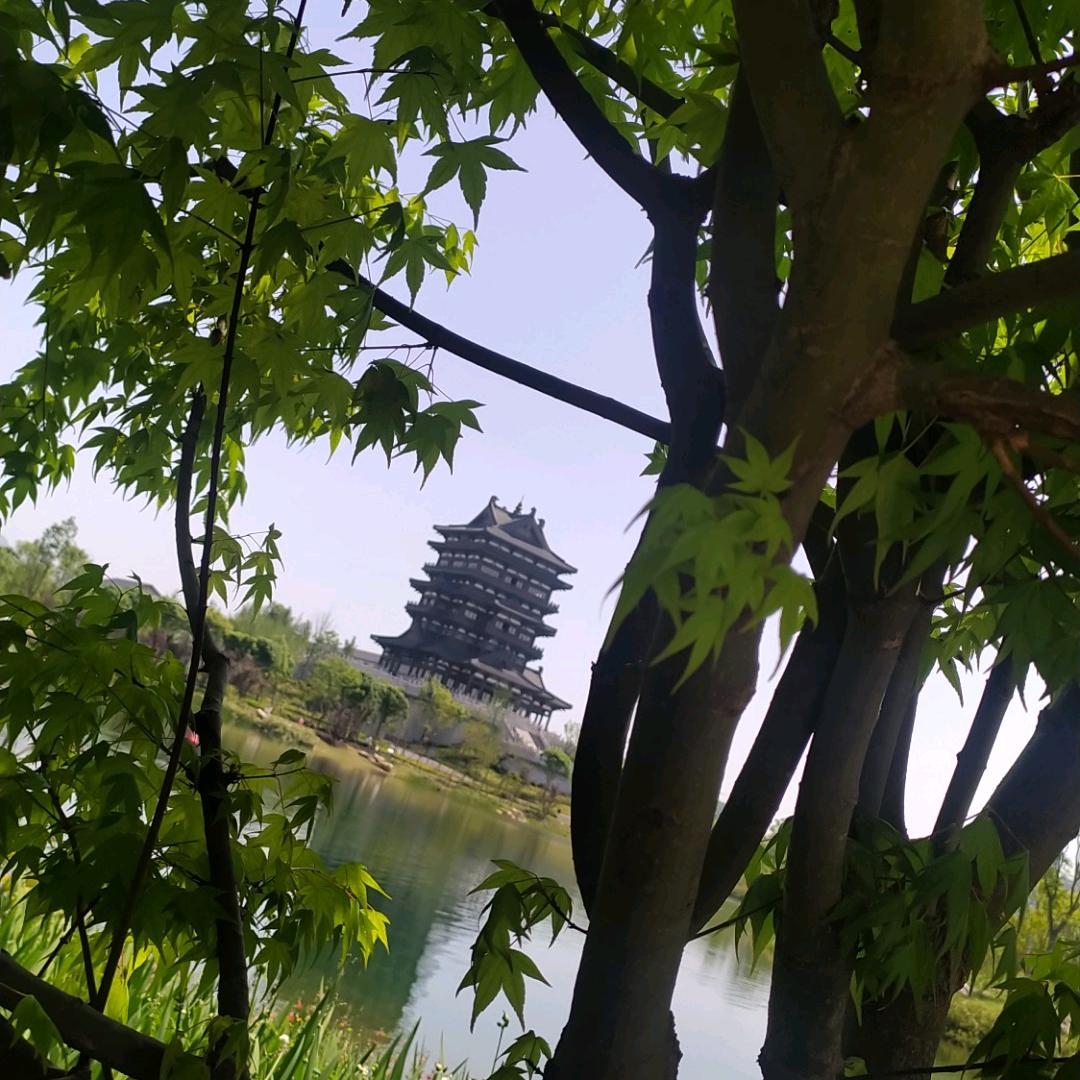 蝴蝶🦋