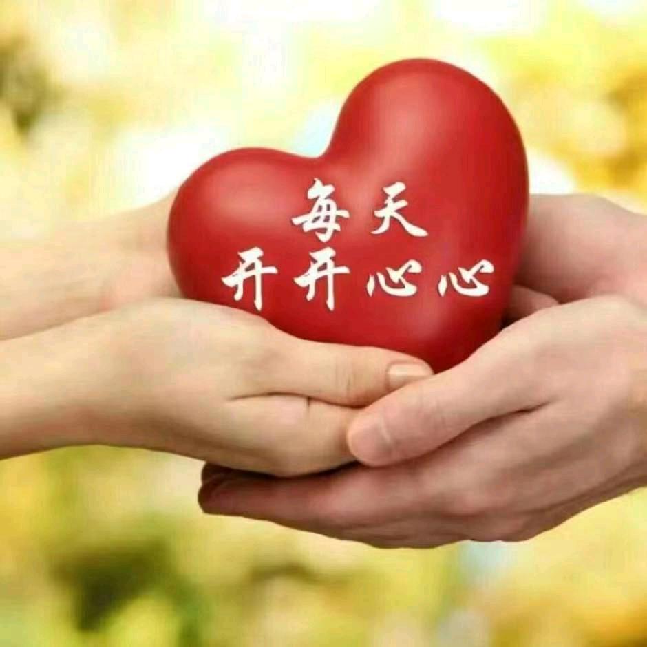 冰凌蔷薇