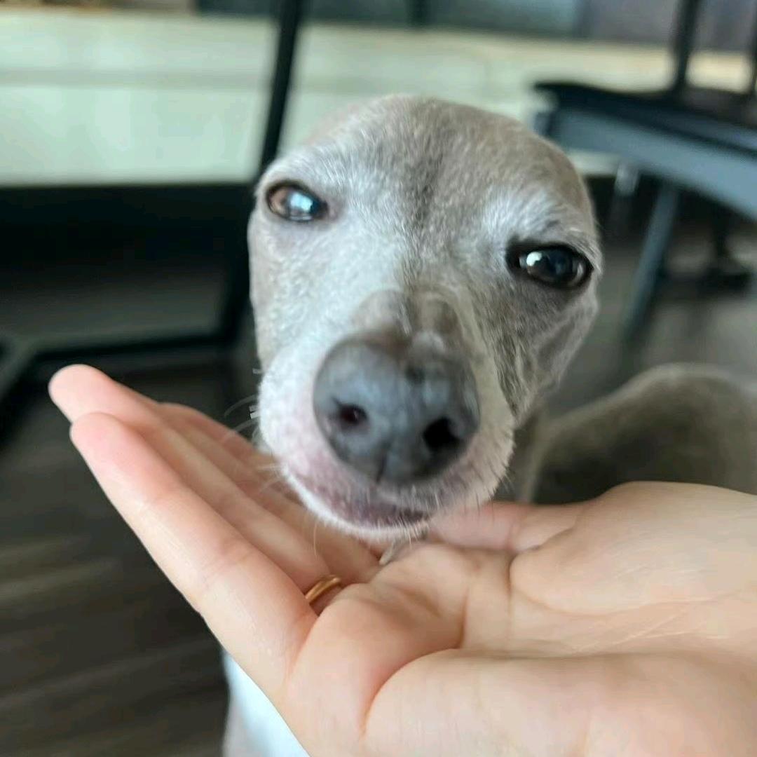 _CuO_🫧（aeeinghee)