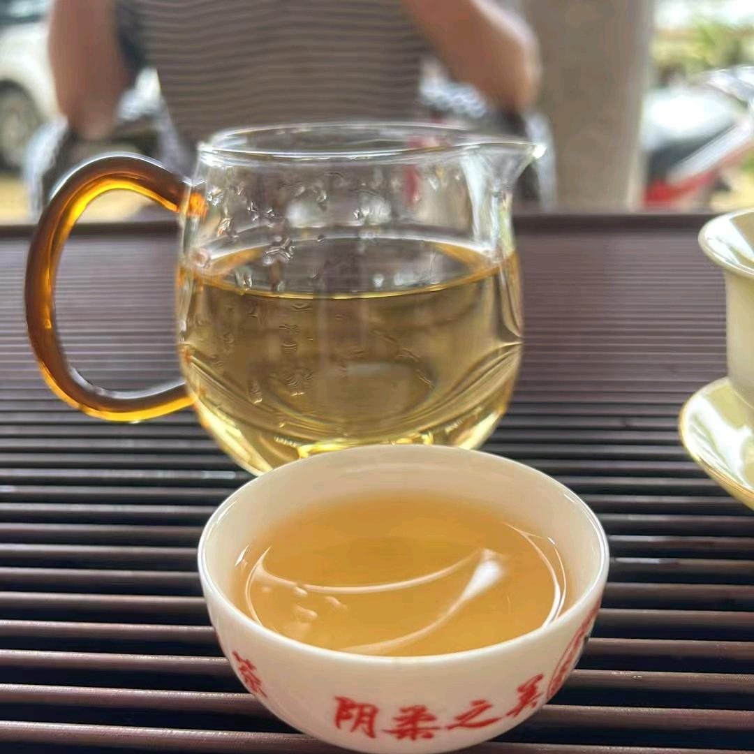 易武贡茶第一镇：七村麻黑