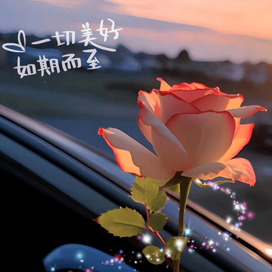 简单🌹快乐