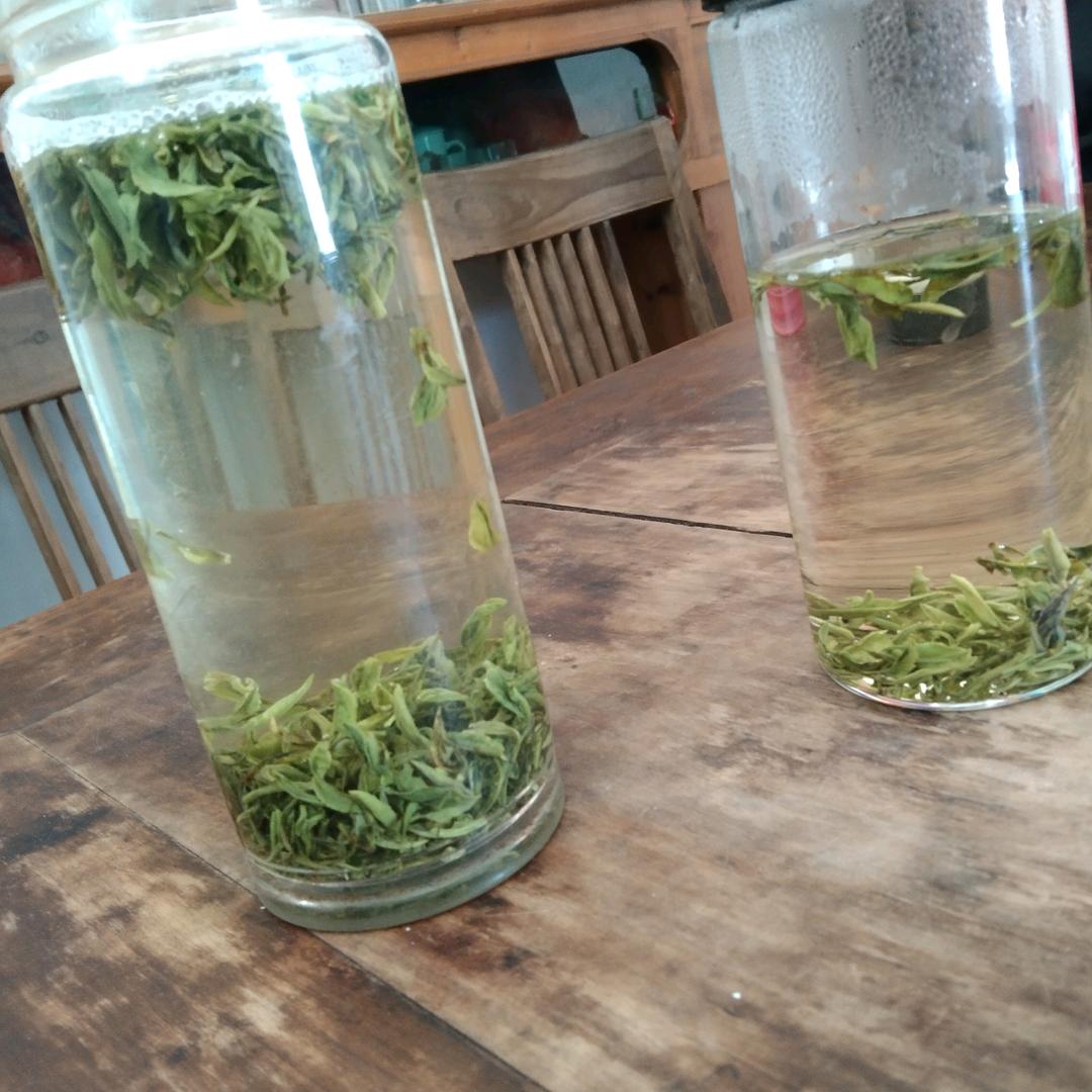 一叶知味·茶鲜角(飛狼田园)