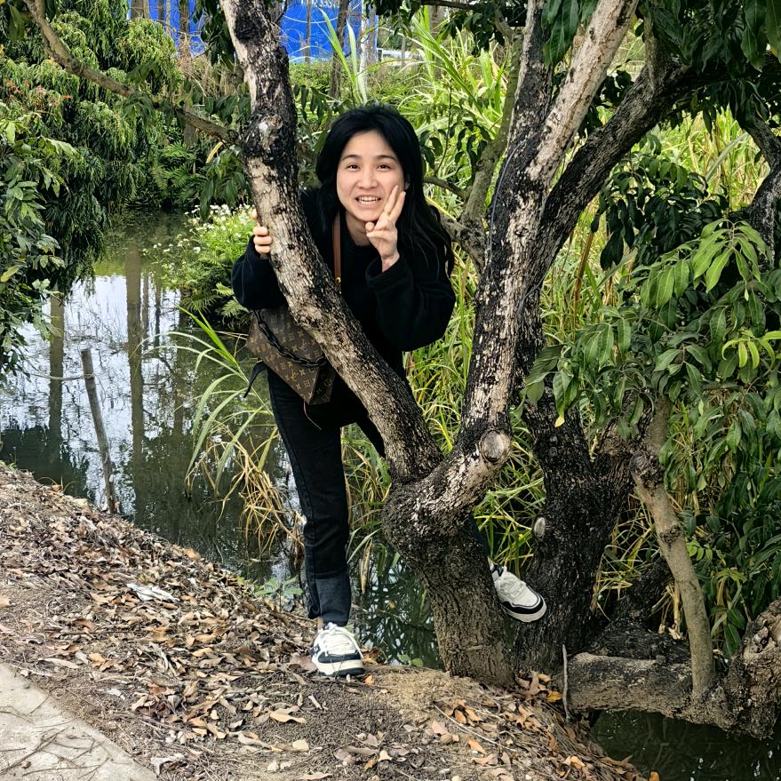 蒙娜丽芳的微笑