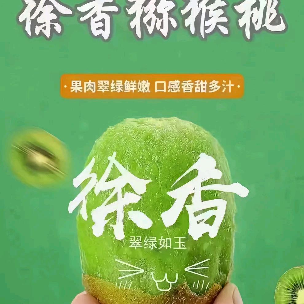 肥西百大 A5 102 志优果品