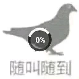 女摄快门工Tiven有影