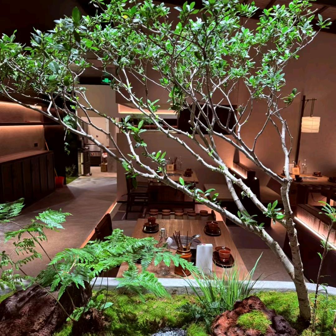 临汾共炉-沸腾少年