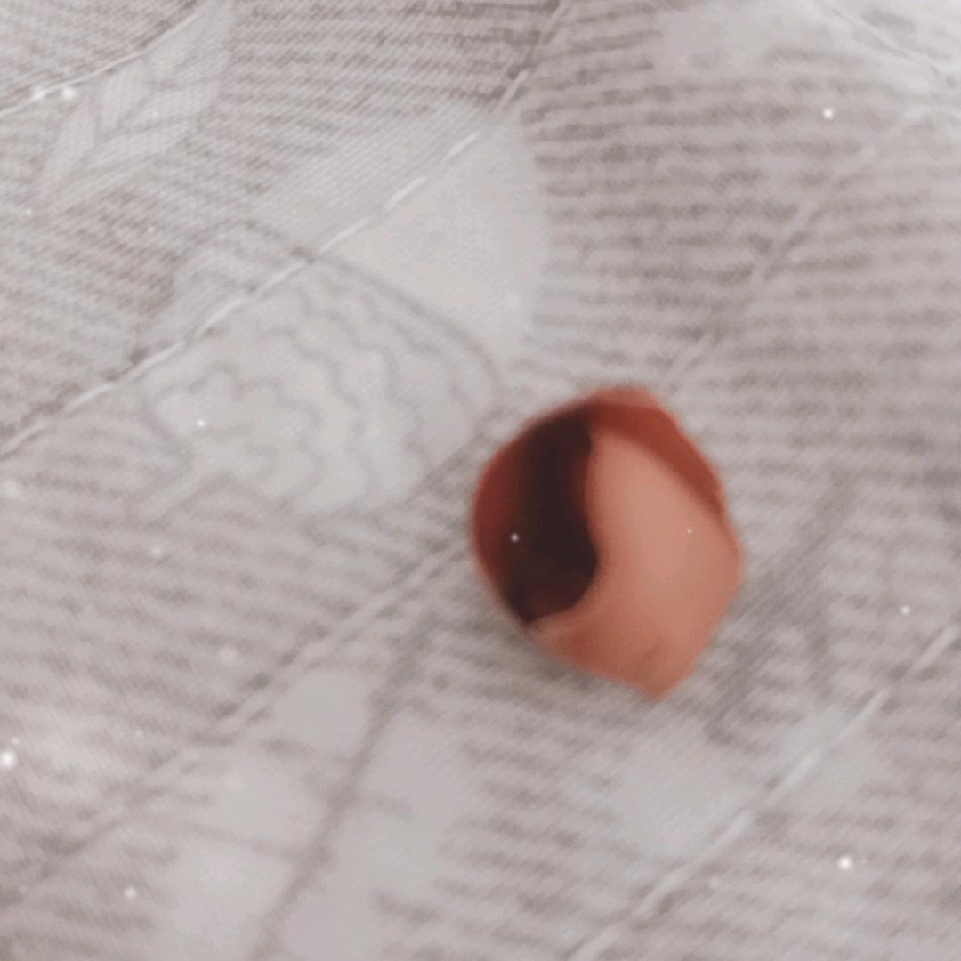 豆子皮