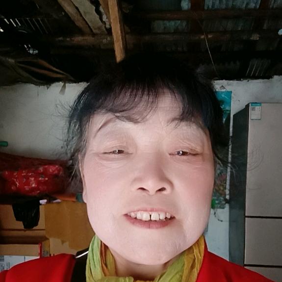 周环珍