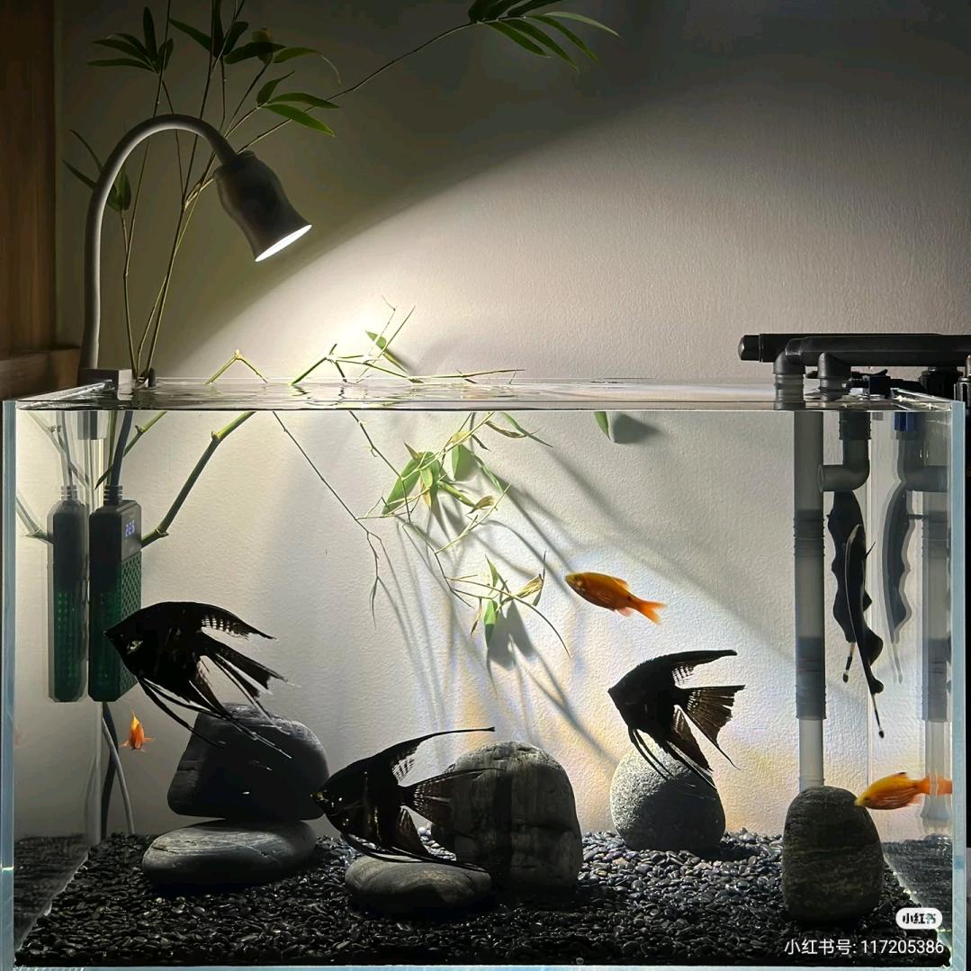 萌宝水族用品