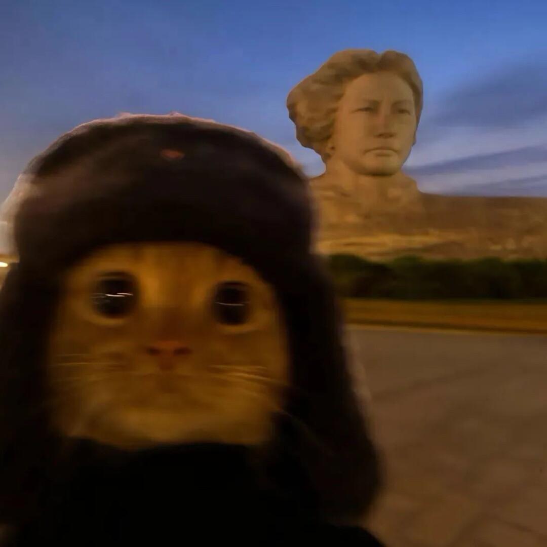 emo的皇帝