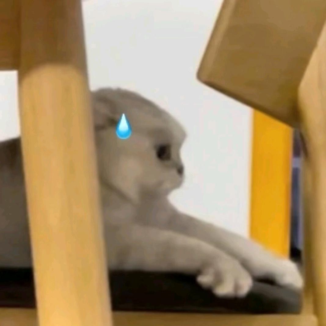 临光