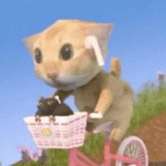 轻