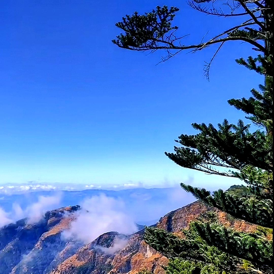 阿音呀