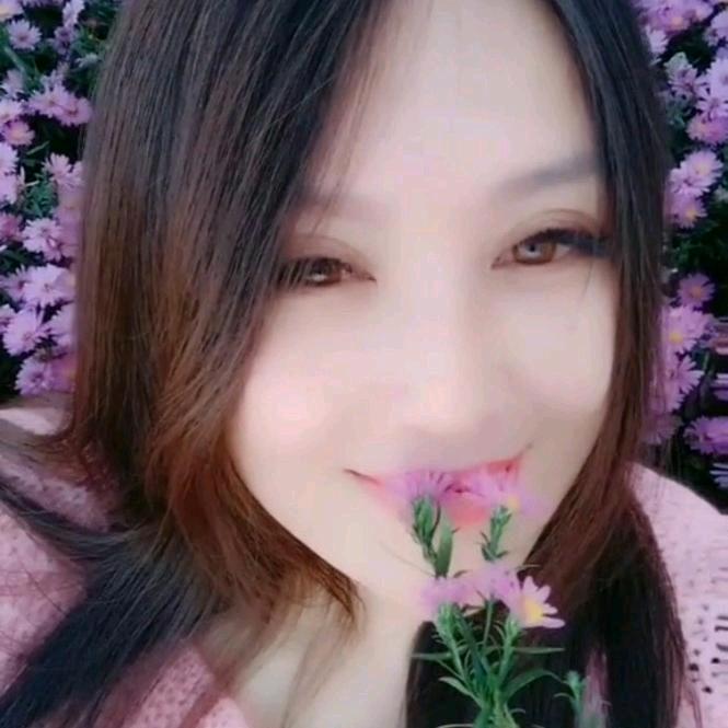 无忧🔥紫罗兰