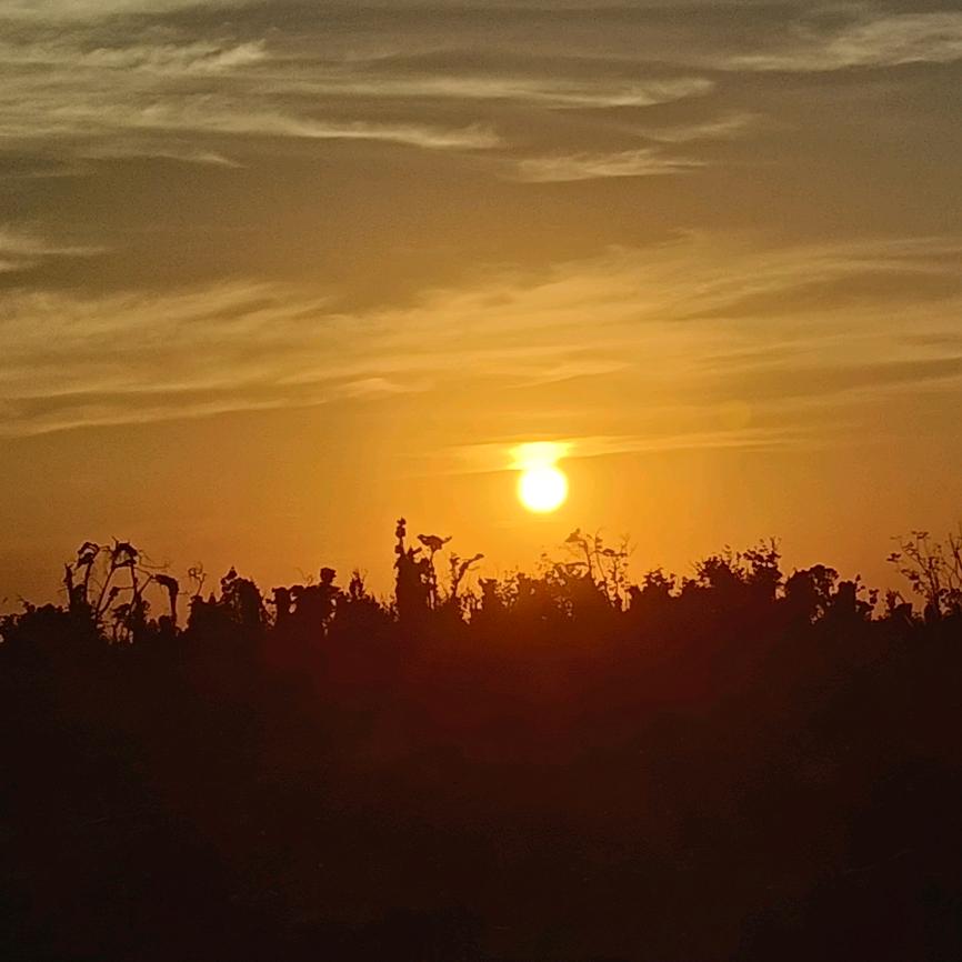 摆烂的后羿🤪🤪🤪