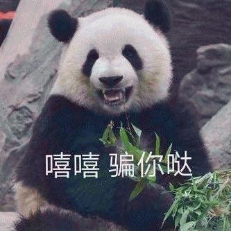 熊熊🤒🤒