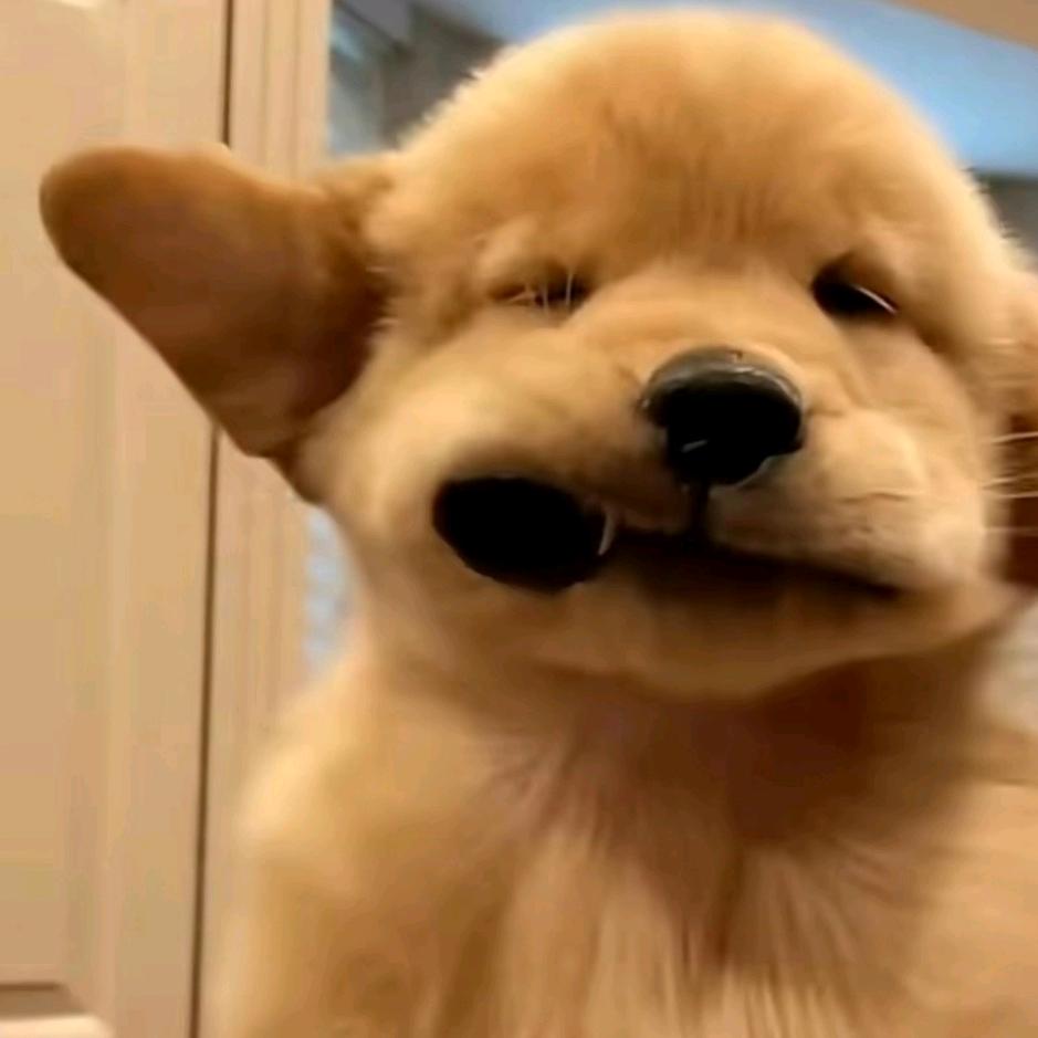 ๓浊酒ꦿ尽余欢້໌ᮨꦿ