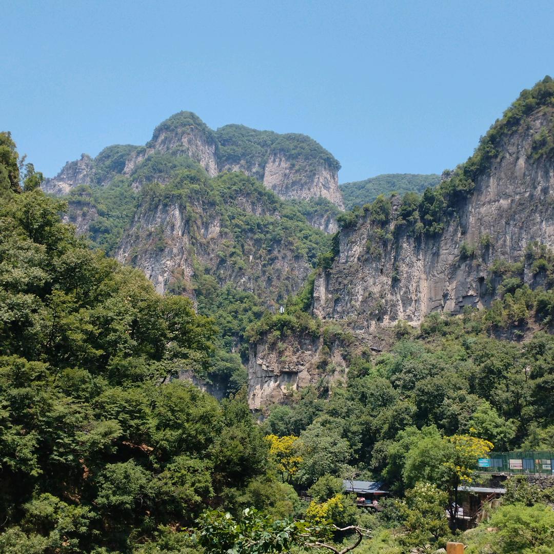 淡定从容