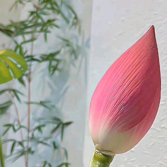 幸福每一天（拒私聊）
