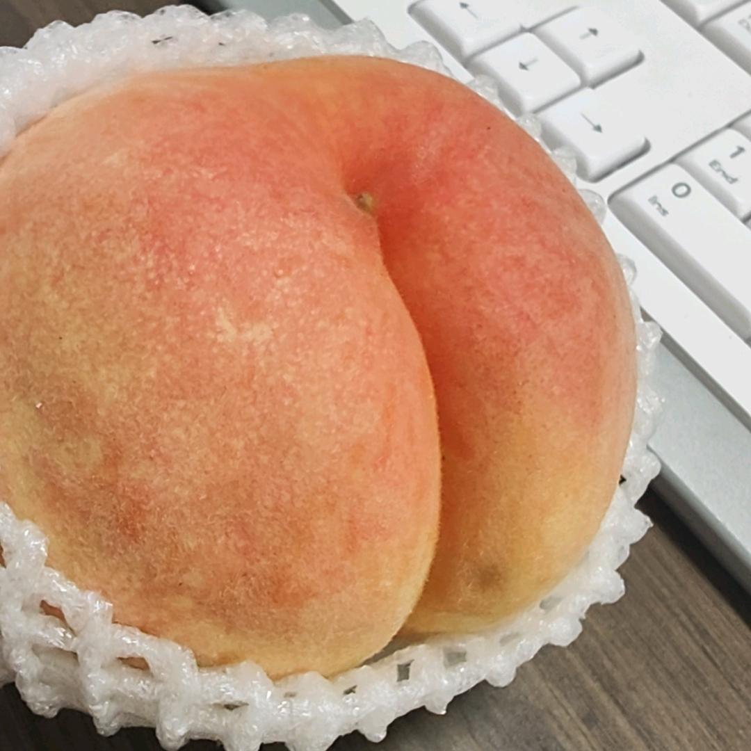 亿宝
