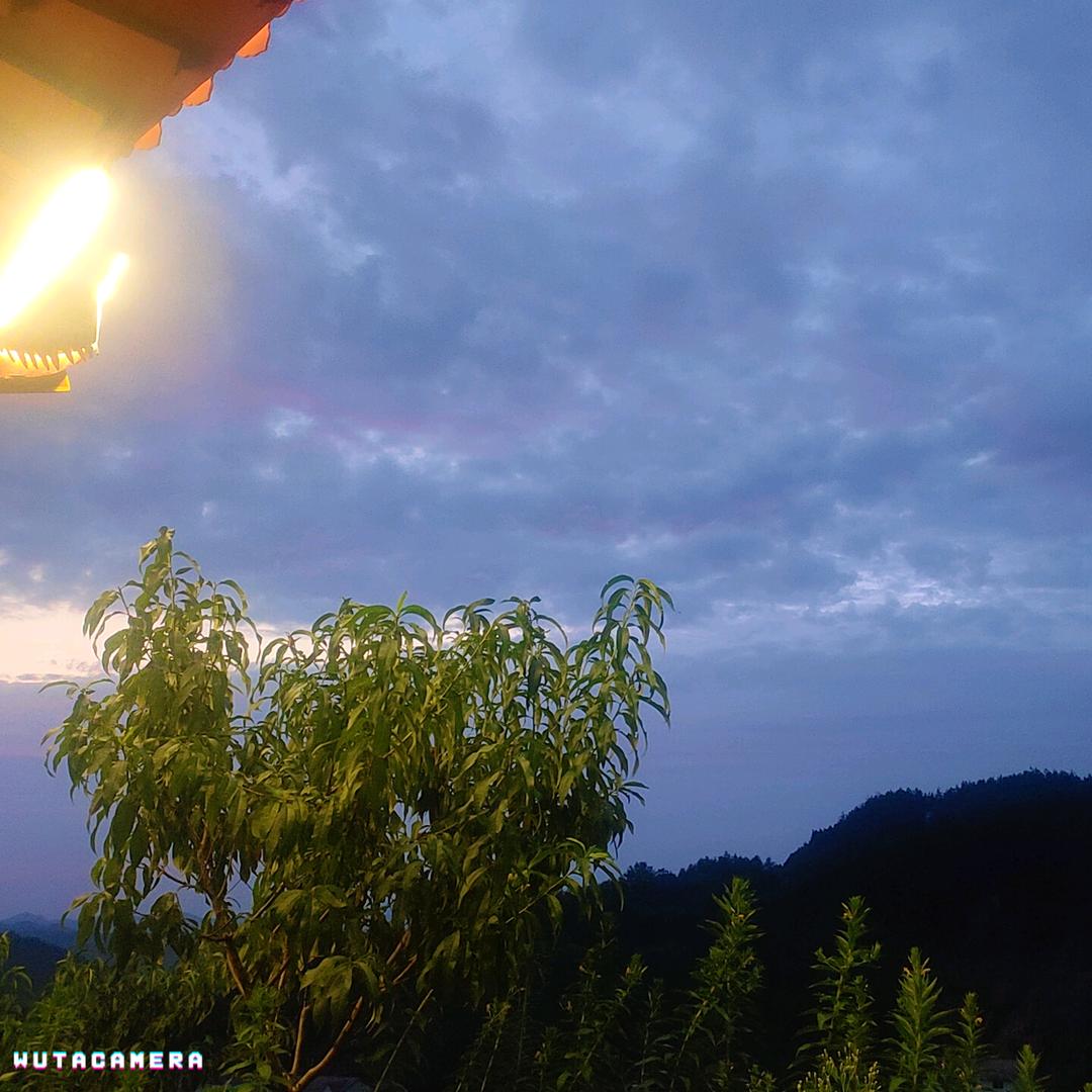 可惜没如果   )：