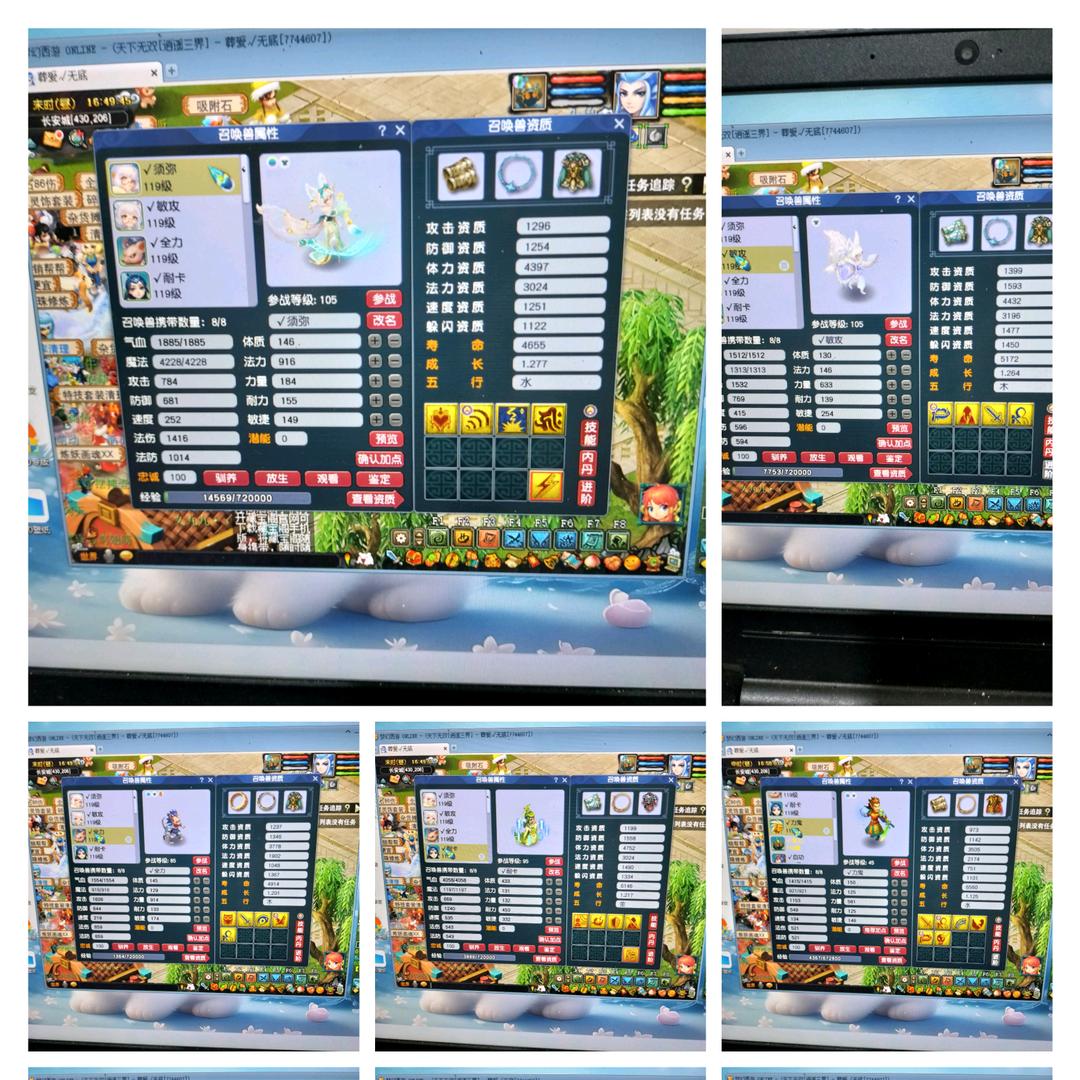 🐉᭄梦幻ོꦿ葬爱꧔ꦿ້໌ᮨ࿐