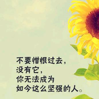 中荣财税