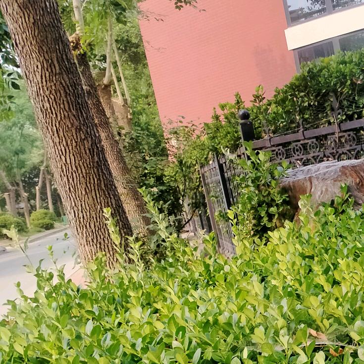 Al南方内外墙装修