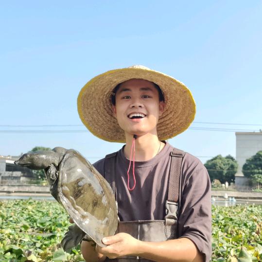 小甲哥生态甲鱼