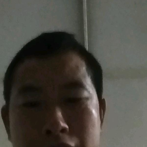 贺清清