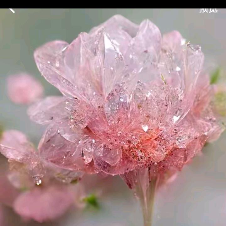 雨后彩虹