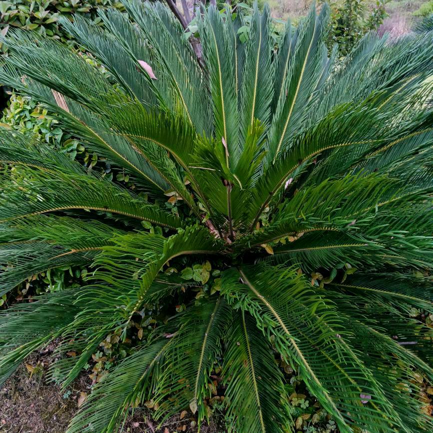 缘分让我认识了你