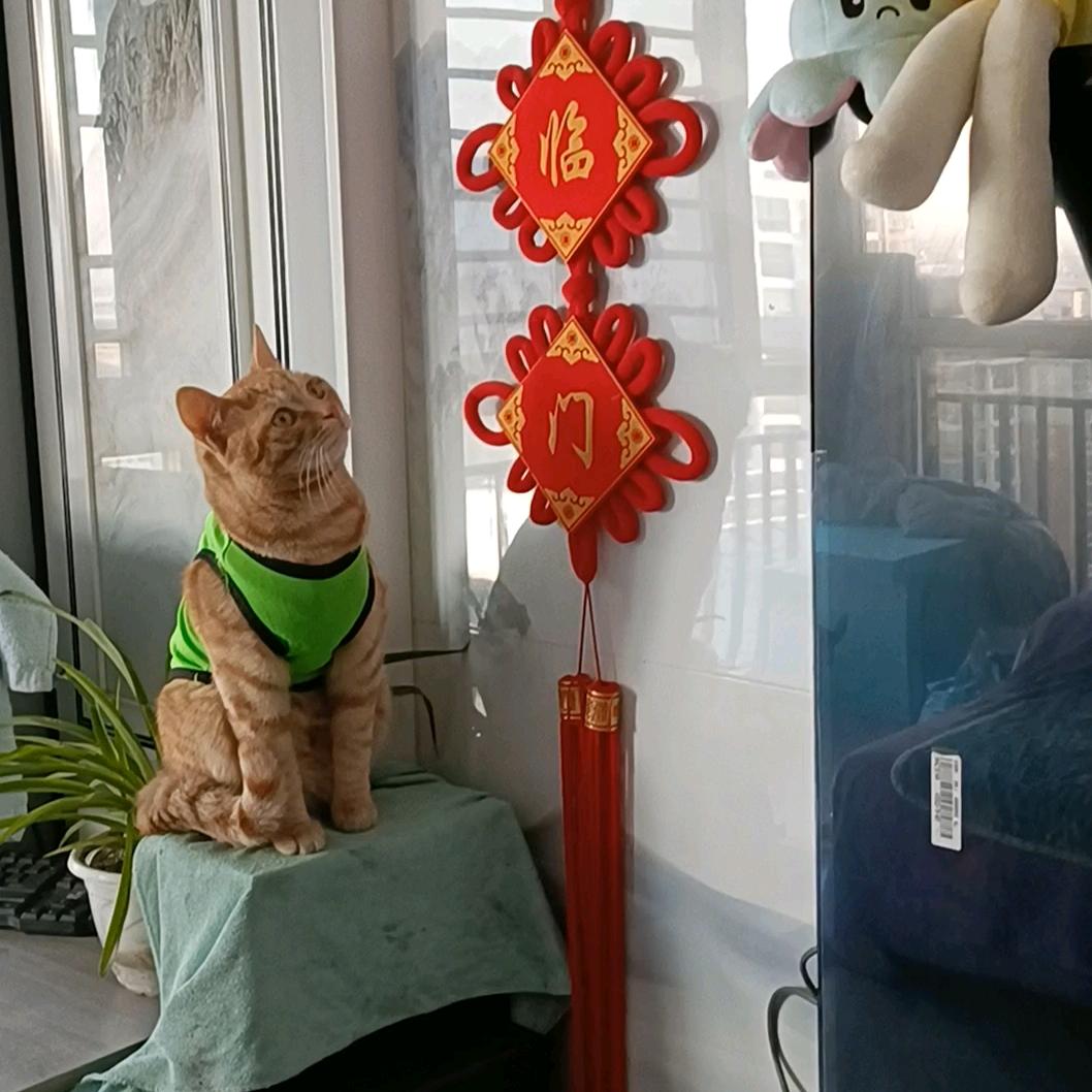 彼此似陌