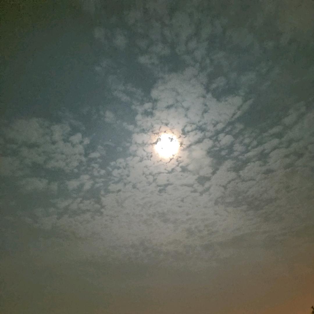 日化百货2
