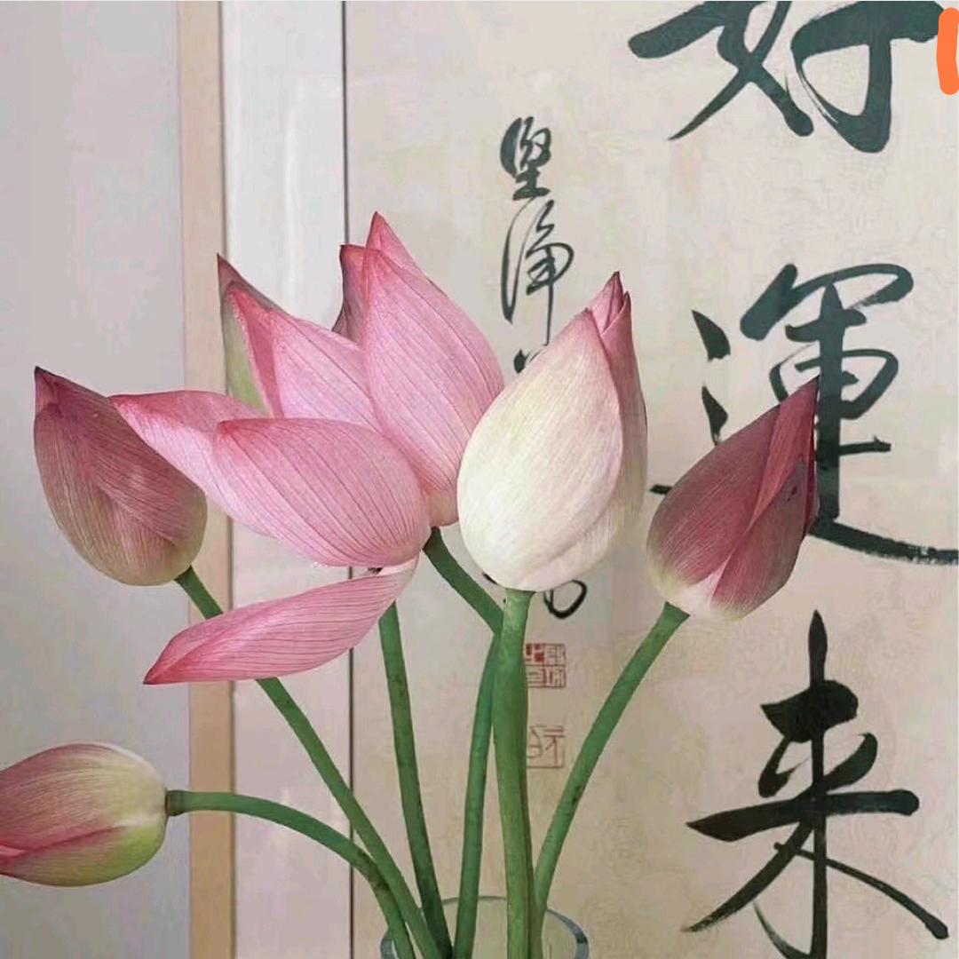 艺南宁艺启文化艺术