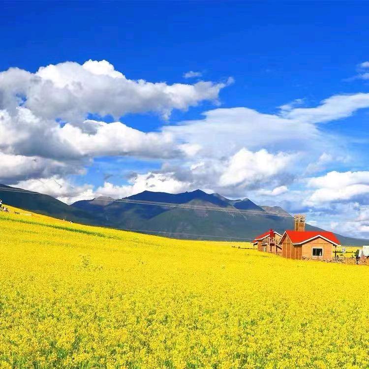 五金机电资源征合