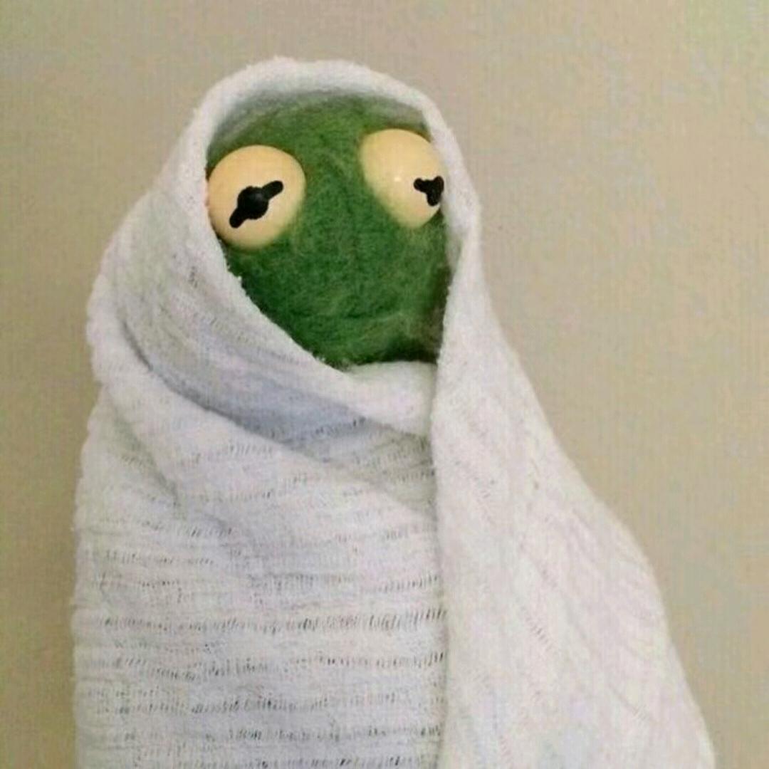 隔壁家豪偷吃我桌下风干了的葡萄干