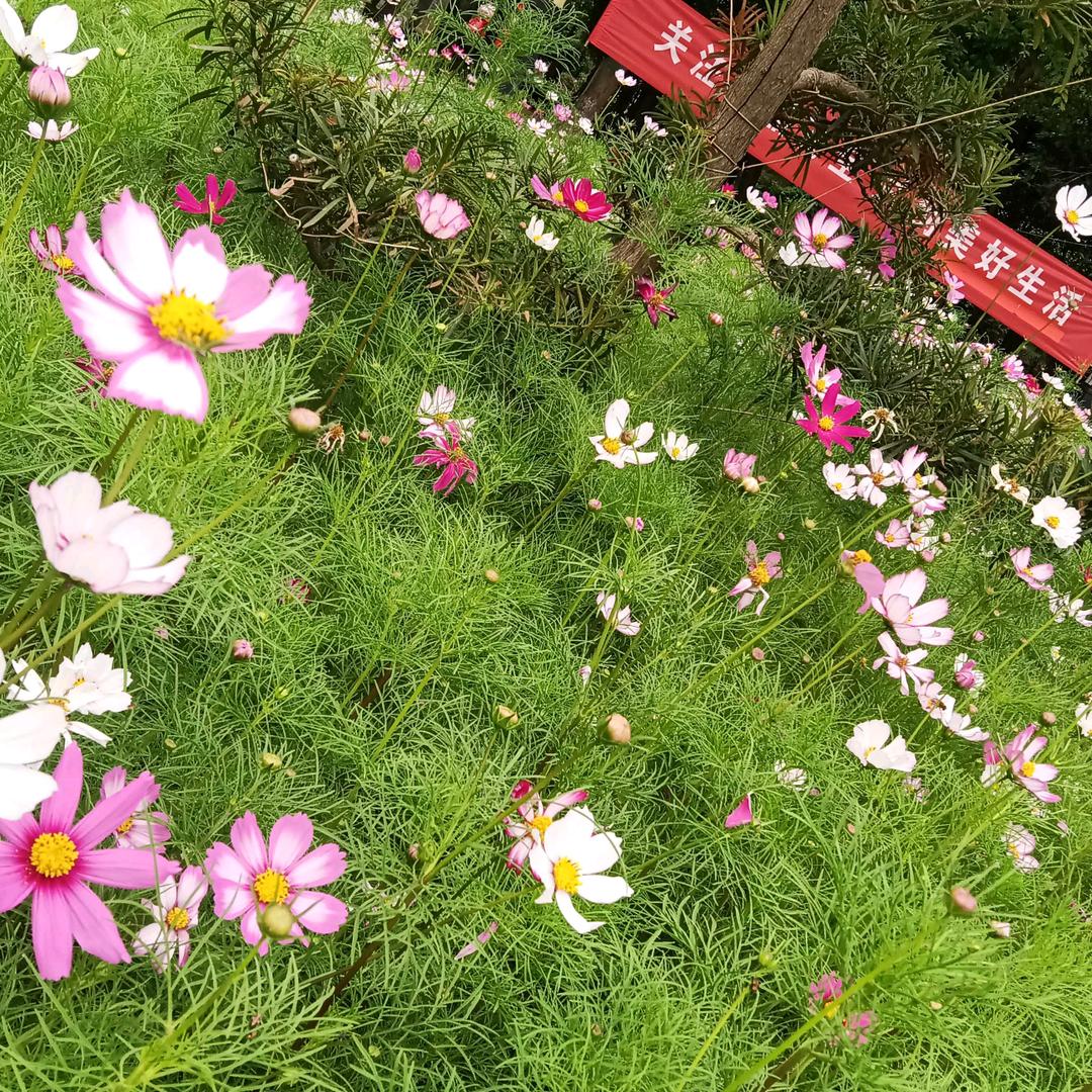 美食都是我的最爱头像