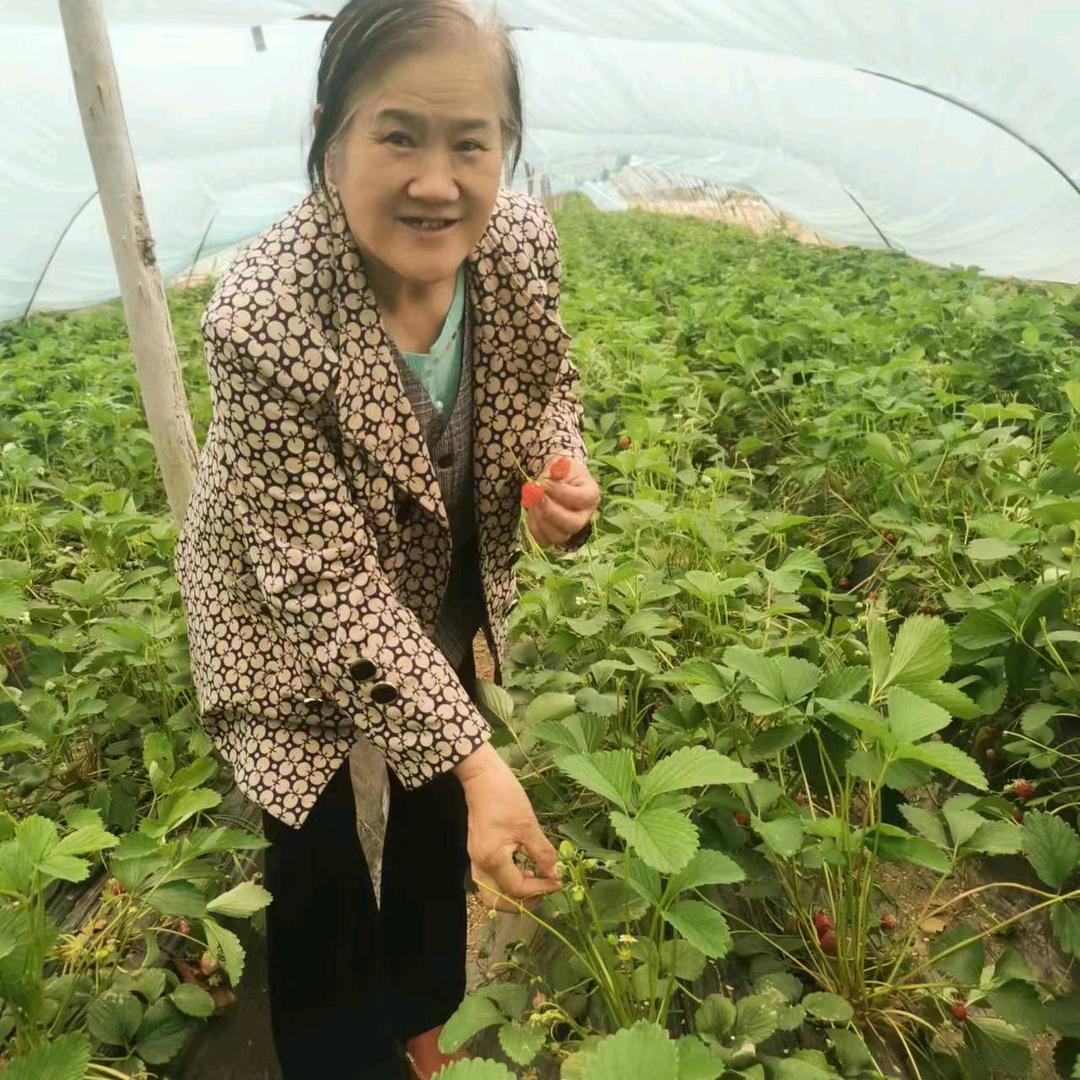 超级玛丽`