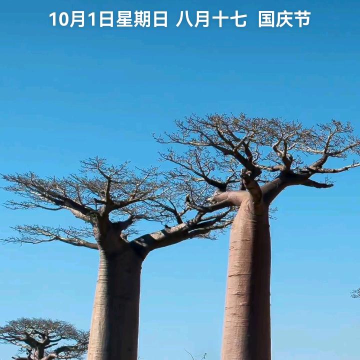 石地主