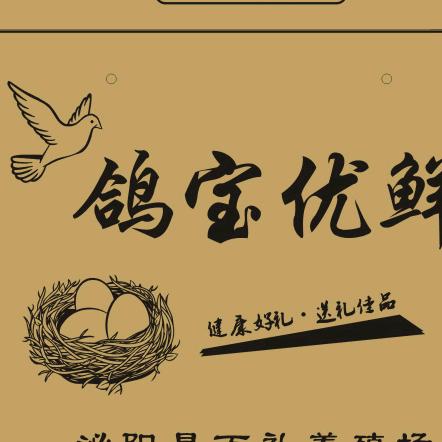 老兵鸽场 鸽子蛋