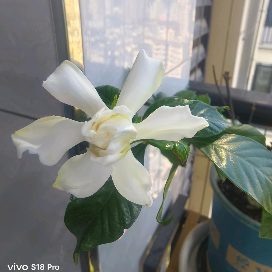 向往🈶风的地方