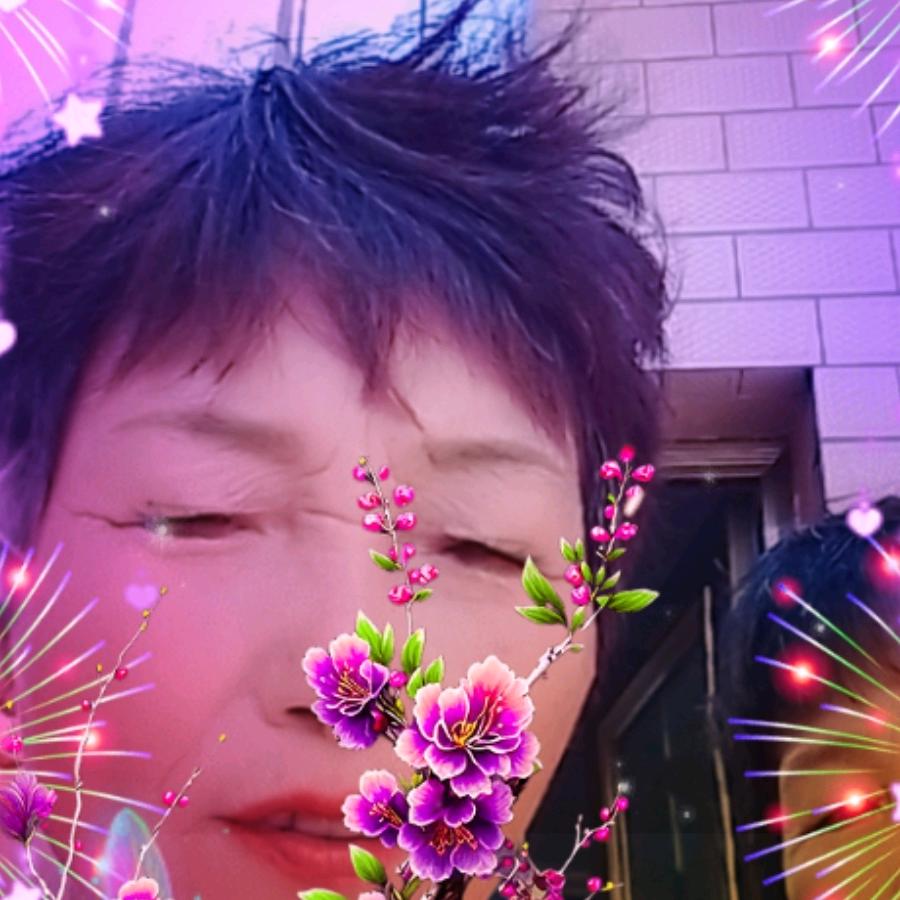 杨柳拂世间