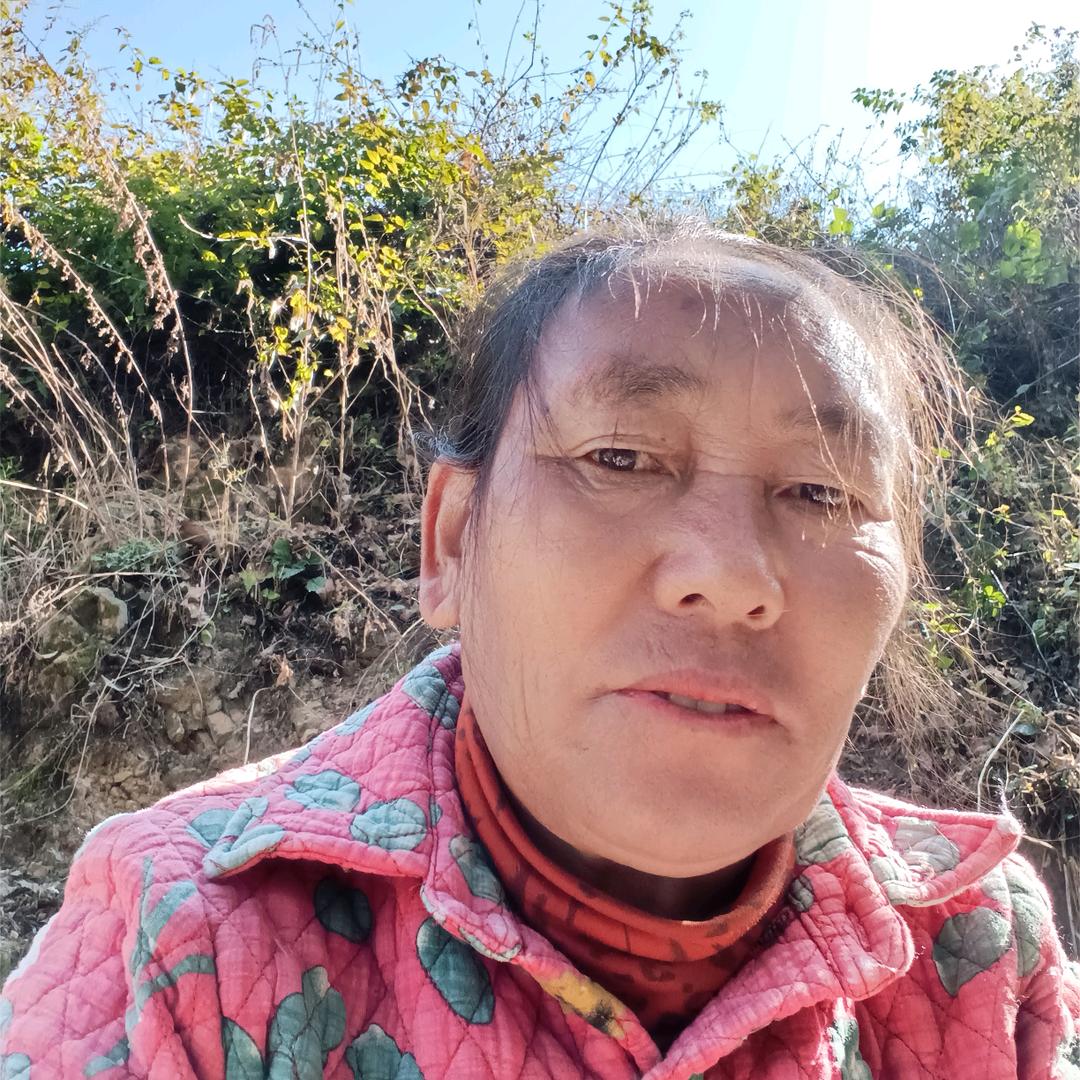 张大姐