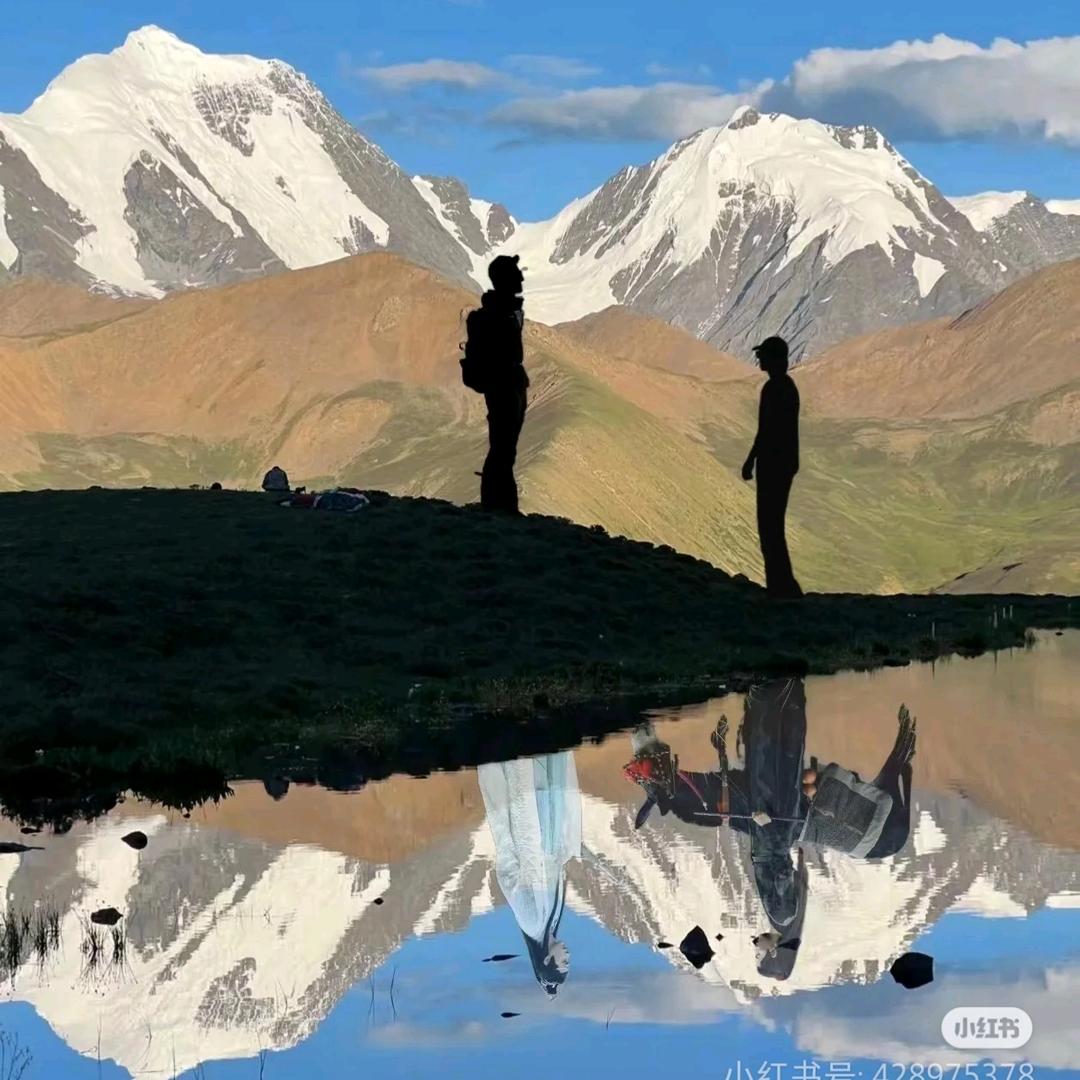 我与夏风皆过客