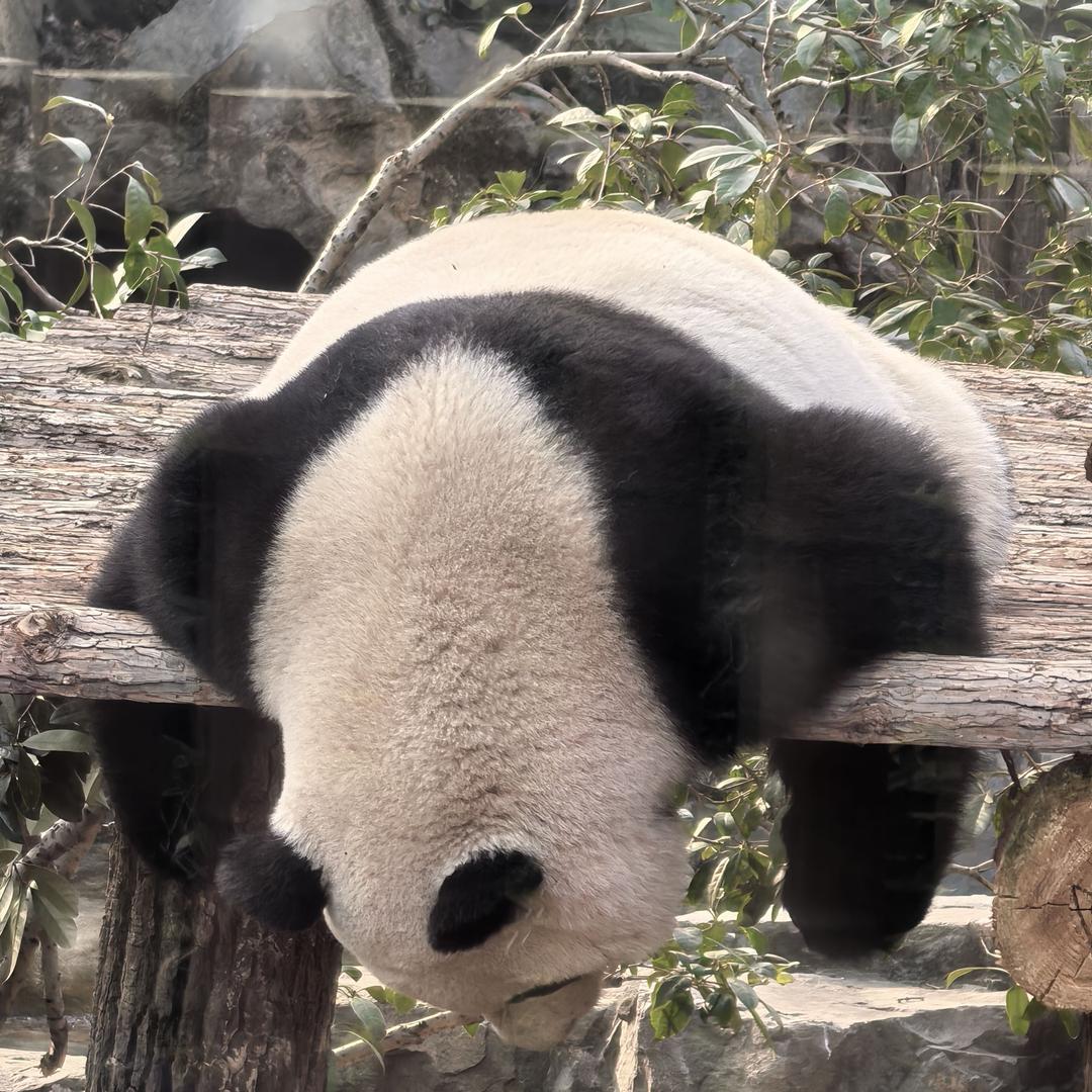 一碗小米zhou