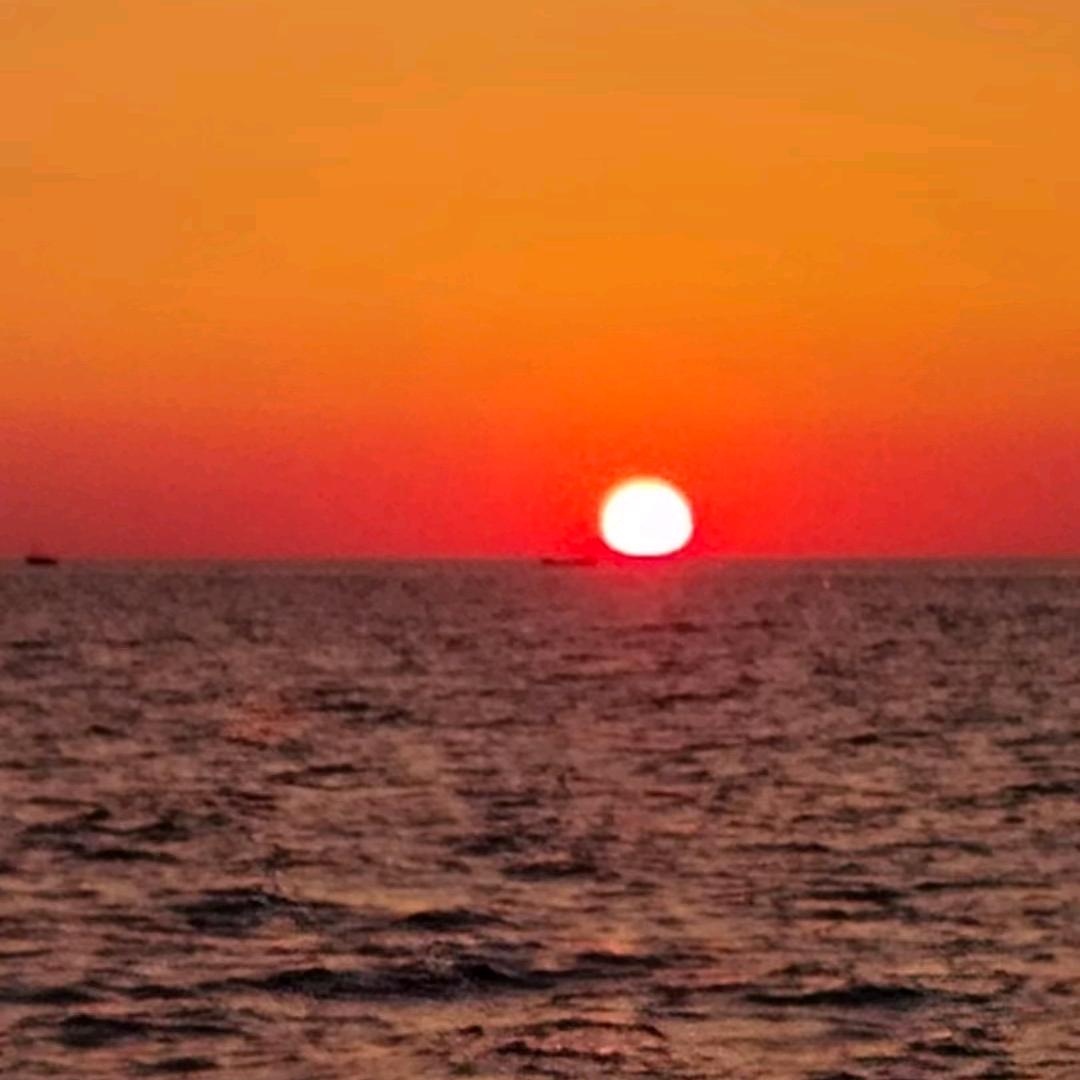 ο▬▬▬▬◙▇▇▇▇▇▇▇▇▇▇▇▇▇◤