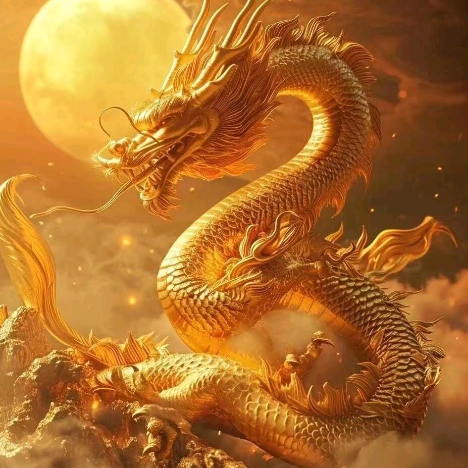 北上广深