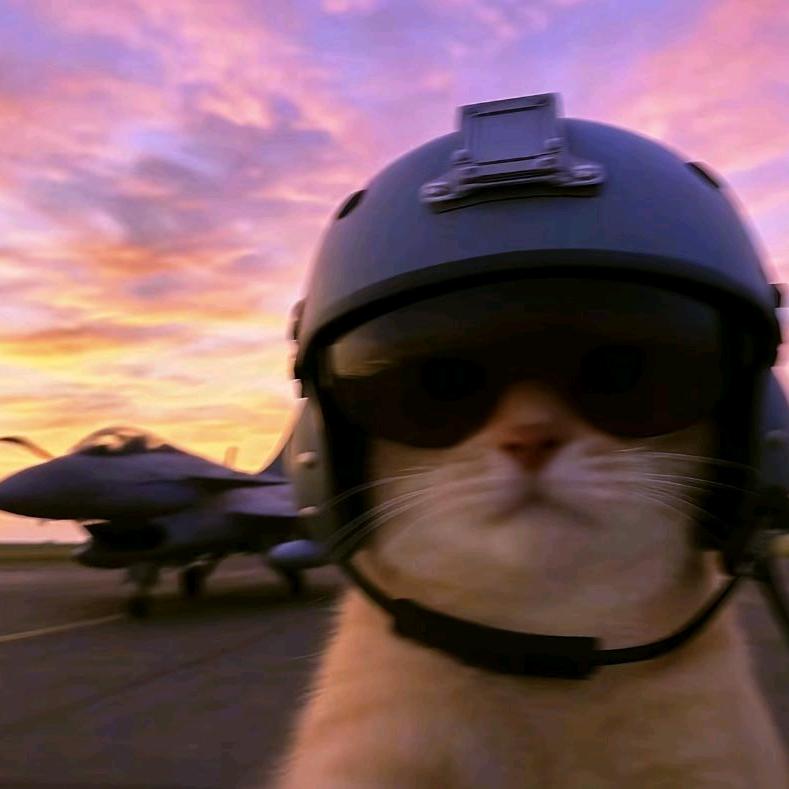 扔个导弹给你炸飞