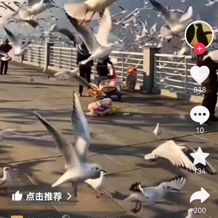 学习